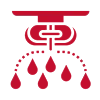 Spraying Workshop