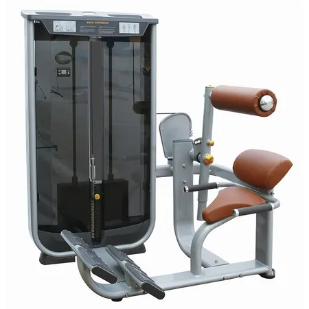 Back Extension Machine