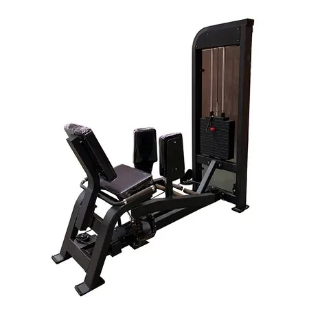 Dual Abductor & Adductor Machine