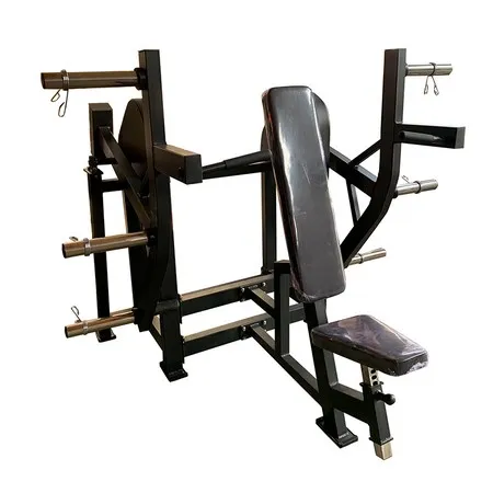 Seated Shoulder Press