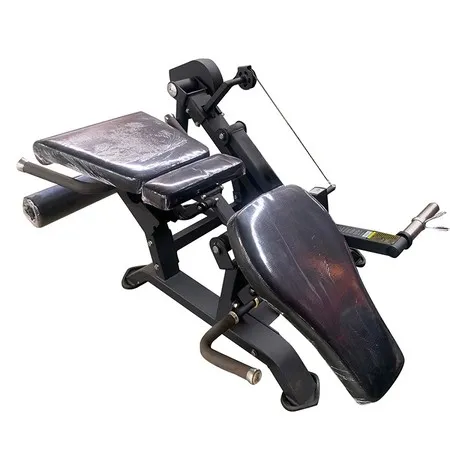 Seated Leg Extension/Prone Leg Curl