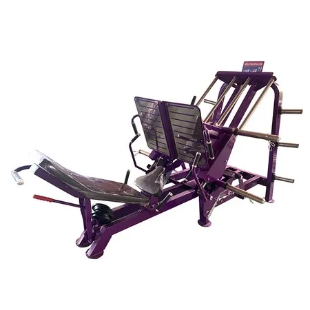 Dual 45 Degree Leg Press