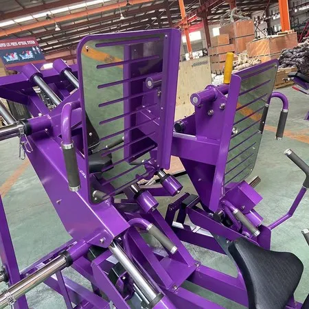 Dual 45 Degree Leg Press