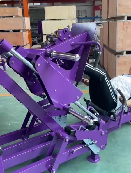 45 Degree Leg Press