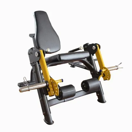 Seated Leg Extension