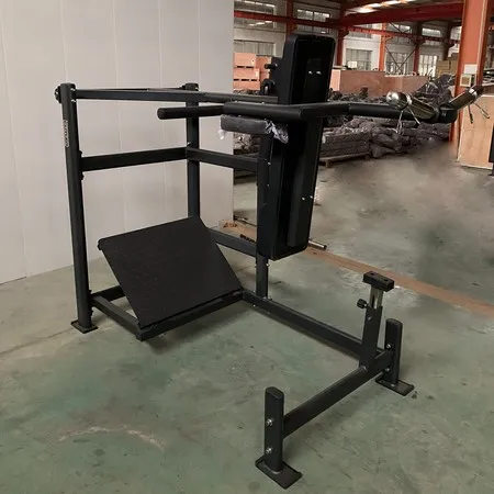 Pendulum Squat Machine