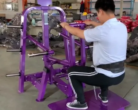 Standing Belt Squat