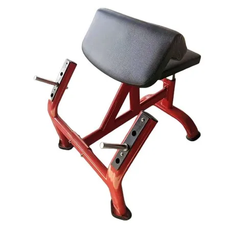 Seated Preacher Curl
