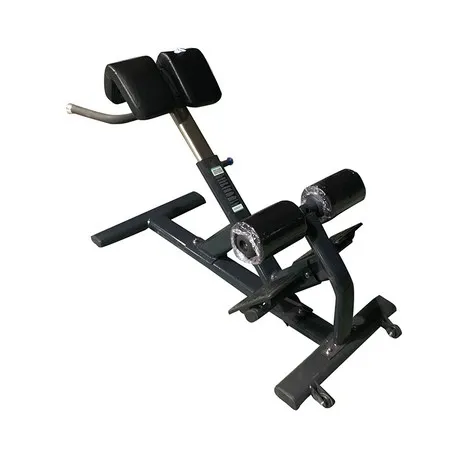 Back Extension Roman Chair