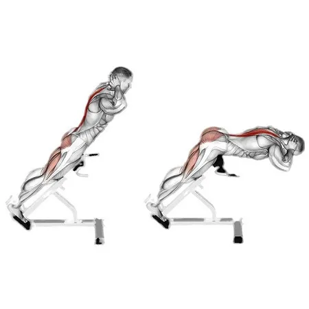 Back Extension Roman Chair