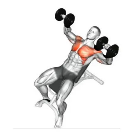 Adjustable Dumbbell Bench