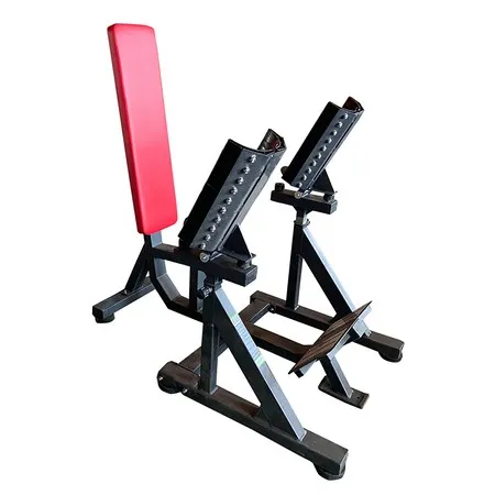 Shoulder Press Dumbbell Bench