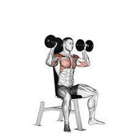 Shoulder Press Dumbbell Bench