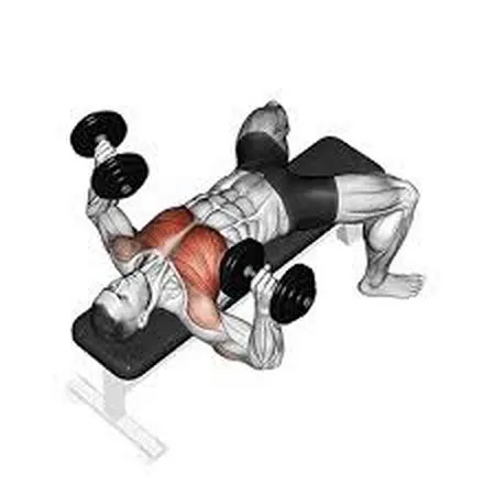 Flat Dumbbell Bench Press