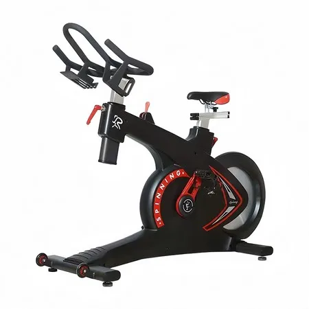 Magnetic Spin Bike